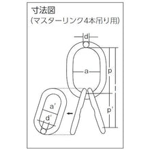 画像をギャラリービューアに読み込む, 象印　チェーンスリング１００（アイタイプ）荷重４．１ｔ線径７．１ｍｍ　Ｌ１．５ｍ
