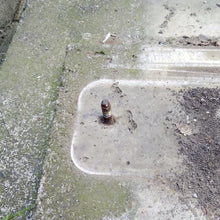 画像をギャラリービューアに読み込む, スターエム　アダプターＭ１２用
