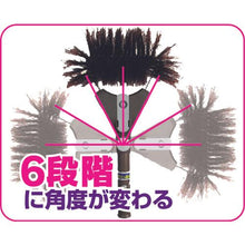 画像をギャラリービューアに読み込む, ａｚｕｍａ　クモの巣取りＨ　ＬＬ５９４
