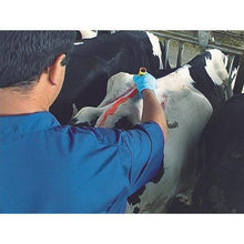 Tải hình ảnh vào trình xem thư viện, Bút đánh dấu đa năng mọi thời tiết LACO “Nhãn dán sơn mọi thời tiết
