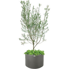 โหลดรูปภาพลงในโปรแกรมดูแกลเลอรี RICHELL Town Planter WS Round 60 Type Plain Dark Grey
