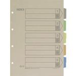 KING JIM คัลเลอร์ อินเด็กซ์ 10×293×293มม