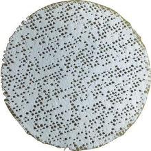 画像をギャラリービューアに読み込む, フィッシャー　フィックスイット
