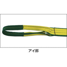画像をギャラリービューアに読み込む, ロックスリング　シグマ　Ａ－１　２５ｍｍ×３．０ｍ（両端アイ形）
