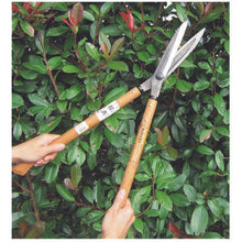 Tải hình ảnh vào trình xem thư viện, Kéo cắt tỉa Kanenori lê thép Yasugi 430mm Sồi trắng có bướu
