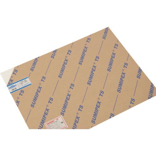 Tấm acrylic nhẹ 450x600 3t trắng
