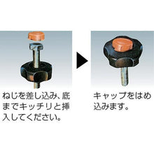 画像をギャラリービューアに読み込む, コノエ　ノブスターＡ型　（１０個入）
