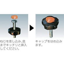 画像をギャラリービューアに読み込む, コノエ　ノブスターＡ型　（１０個入）
