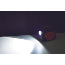 将图像导入到图库查看器中NICHIDO发动机启动器 Big Bang F1 安全电缆
