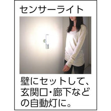 画像をギャラリービューアに読み込む, ライテックス　懐中電灯付ＬＥＤセンサースリム
