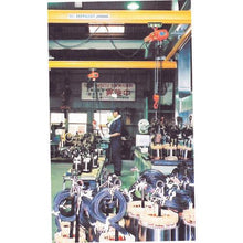 画像をギャラリービューアに読み込む, 象印　単相１００Ｖ小型電気チェーンブロック（無段速型）６０ＫＧ・３Ｍ
