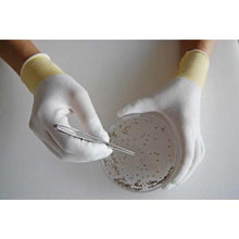 โหลดรูปภาพลงในโปรแกรมดูแกลเลอรี Showa Soartek Top Fit Gloves B0601 สีขาว ไซส์ M
