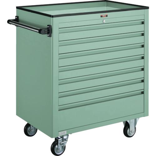 TRUSCO BM2 ตู้เกวียน 750X500XH880 ตื้น 6 ลึก 1