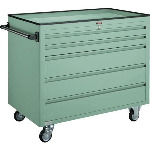 รถบรรทุกตู้ประเภท TRUSCO BM3 1000X600XH880 ตื้น 2 ลึก 3