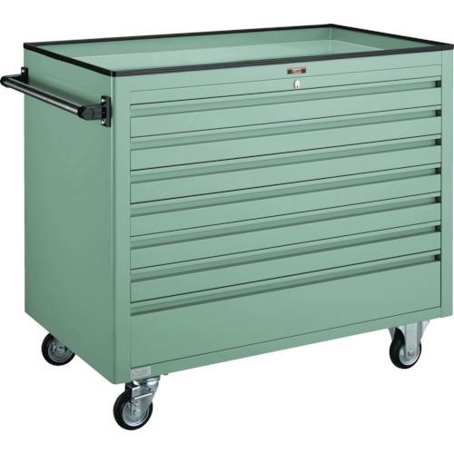 รถบรรทุกตู้ประเภท TRUSCO BM3 1000X600XH880 ตื้น 6 ลึก 1