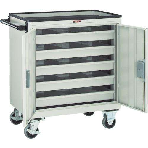 TRUSCO Ace Wagon 685X450XH802 Kannon ประตู นีโอเกรย์