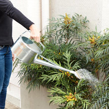 Tải hình ảnh vào trình xem thư viện, Bình tưới thiếc TRUSCO 4 lít
