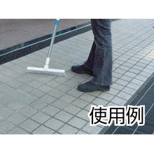 画像をギャラリービューアに読み込む, テラモト　ＥＦミックスブルーム　スペア３０ｃｍ
