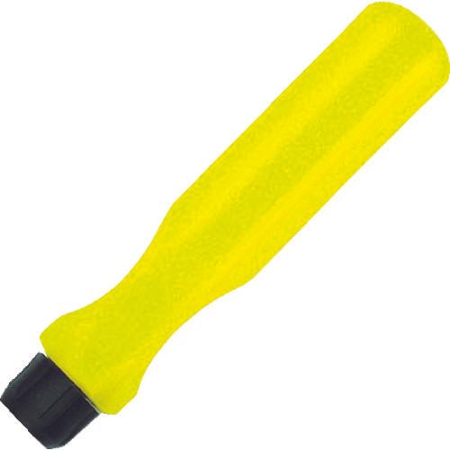 การยึดเกาะทางเศรษฐกิจ ENGINEER