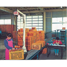 画像をギャラリービューアに読み込む, キトー　電気チェーンブロック　キトーセレクト　１速形　１００ｋｇ×３ｍ
