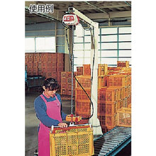 โหลดรูปภาพลงในโปรแกรมดูแกลเลอรี รอกโซ่ไฟฟ้า Kito Kito Select แบบ 2 speed 160kg x 3m
