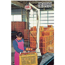 โหลดรูปภาพลงในโปรแกรมดูแกลเลอรี รอกโซ่ไฟฟ้า Kito Kito select 1 speed type 480kg x 3m
