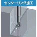 Load image into gallery viewer, FUJIGEN insert ZC16N
