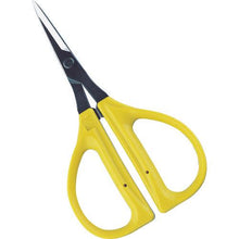 将图像导入到图库查看器中CHIKAMASA FUN CRAFT 手工艺品
