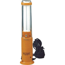 Load image into gallery viewer, HATAYA BS Light Single Phase 100V 13W Fluorescent Lamp Stand Electric Wire 5m
