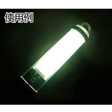 Load image into gallery viewer, HATAYA BS Light Single Phase 100V 13W Fluorescent Lamp Stand Electric Wire 5m
