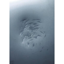 将图像导入到图库查看器中OH 平板金属HAMMER CASTER小直径（垂直尺）#3/4
