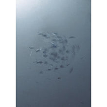 将图像导入到图库查看器中OH 平板金属HAMMER CASTER小直径（水平平滑）#3/4
