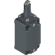 Tải hình ảnh vào trình xem thư viện, Công tắc hành trình Pizzato FD loại 5 con lăn pít tông inox loại 16
