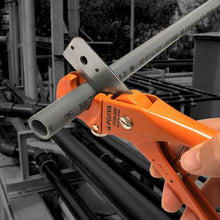 将图像导入到图库查看器中FUJIYA Multi Flekkie
