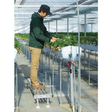 Tải hình ảnh vào trình xem thư viện, MIRUC HARAX
