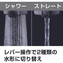 Load image into gallery viewer, Takagi Rakurok faucet branch shower

