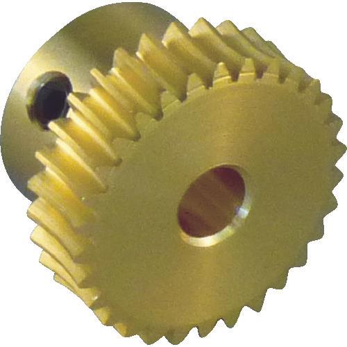 Mô-đun bánh răng sâu KG 0,5 đồng thau