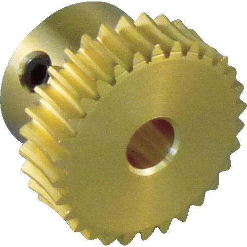 Mô-đun bánh răng sâu KG 0,5 đồng thau