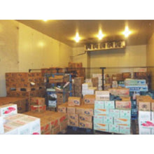 Load image into gallery viewer, KAMAKURA SEISAKUSHO Co.,Ltd. Refrigerator Freshness Keeper Green Keeper Aqua 60Hz

