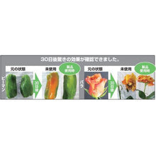 Load image into gallery viewer, KAMAKURA SEISAKUSHO Co.,Ltd. Refrigerator Freshness Keeper Green Keeper Aqua 60Hz
