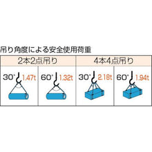画像をギャラリービューアに読み込む, ＴＲＵＳＣＯ　Ｗスリング　Ａタイプ　１０ｍｍＸ６．０ｍ
