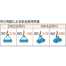 画像をギャラリービューアに読み込む, ＴＲＵＳＣＯ　Ｗスリング　Ａタイプ　１２ｍｍＸ５．０ｍ
