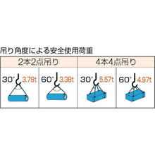 画像をギャラリービューアに読み込む, ＴＲＵＳＣＯ　Ｗスリング　Ａタイプ　１６ｍｍＸ４．０ｍ

