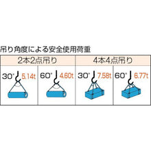画像をギャラリービューアに読み込む, ＴＲＵＳＣＯ　Ｗスリング　Ａタイプ　１８ｍｍＸ６ｍ
