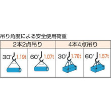 画像をギャラリービューアに読み込む, ＴＲＵＳＣＯ　Ｗスリング　Ａタイプ　９ｍｍＸ６．０ｍ

