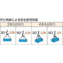 画像をギャラリービューアに読み込む, ＴＲＵＳＣＯ　Ｗスリング　Ｂタイプ　片端シンブル入り　１２ｍｍＸ２．５ｍ
