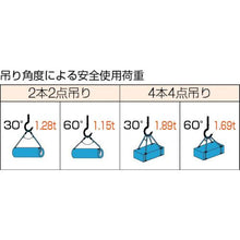 画像をギャラリービューアに読み込む, ＴＲＵＳＣＯ　Ｗスリング　Ｅタイプ　両端シンブル入り　９ｍｍＸ２ｍ
