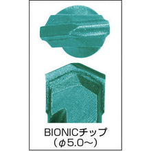 画像をギャラリービューアに読み込む, エビ　ハンマービット　５．０Ｘ１１０ｍｍ
