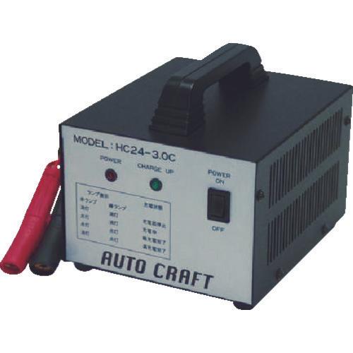 Autocraft battery store charger