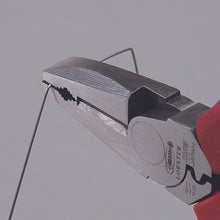 画像をギャラリービューアに読み込む, エビ　パワーペンチ

